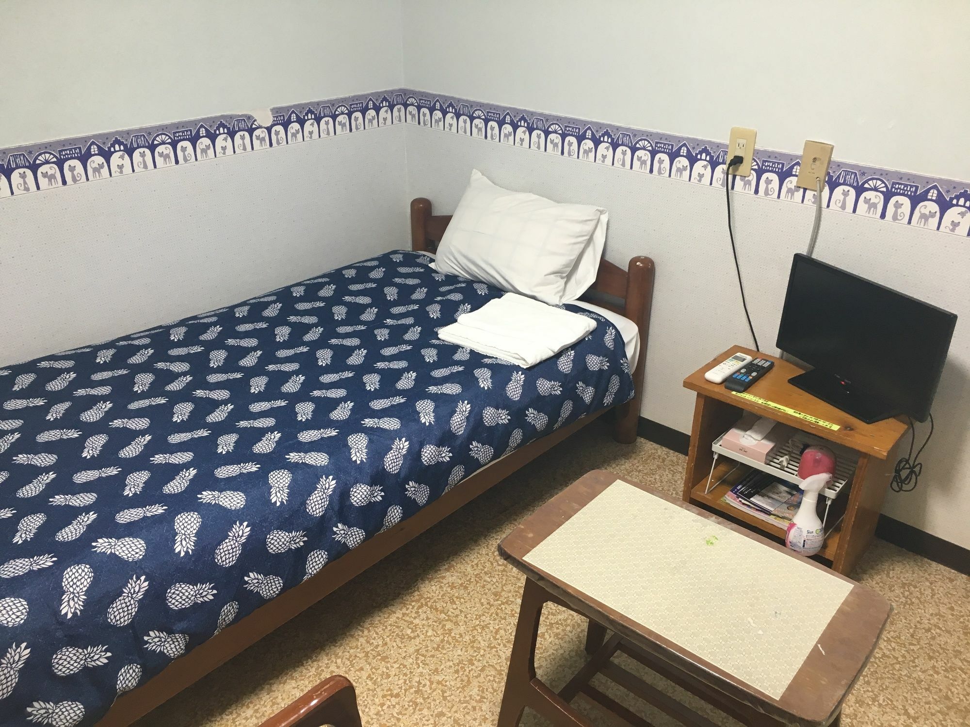 Pension New Hamanoso Ishigaki  Esterno foto
